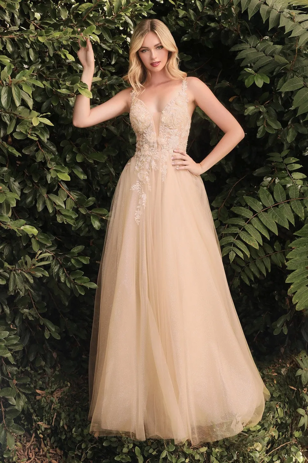 Clara Beige | Maxi Tulle Dress w/ Lace Bodice