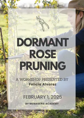 Dormant Rose Pruning Workshop: February 1, 2025