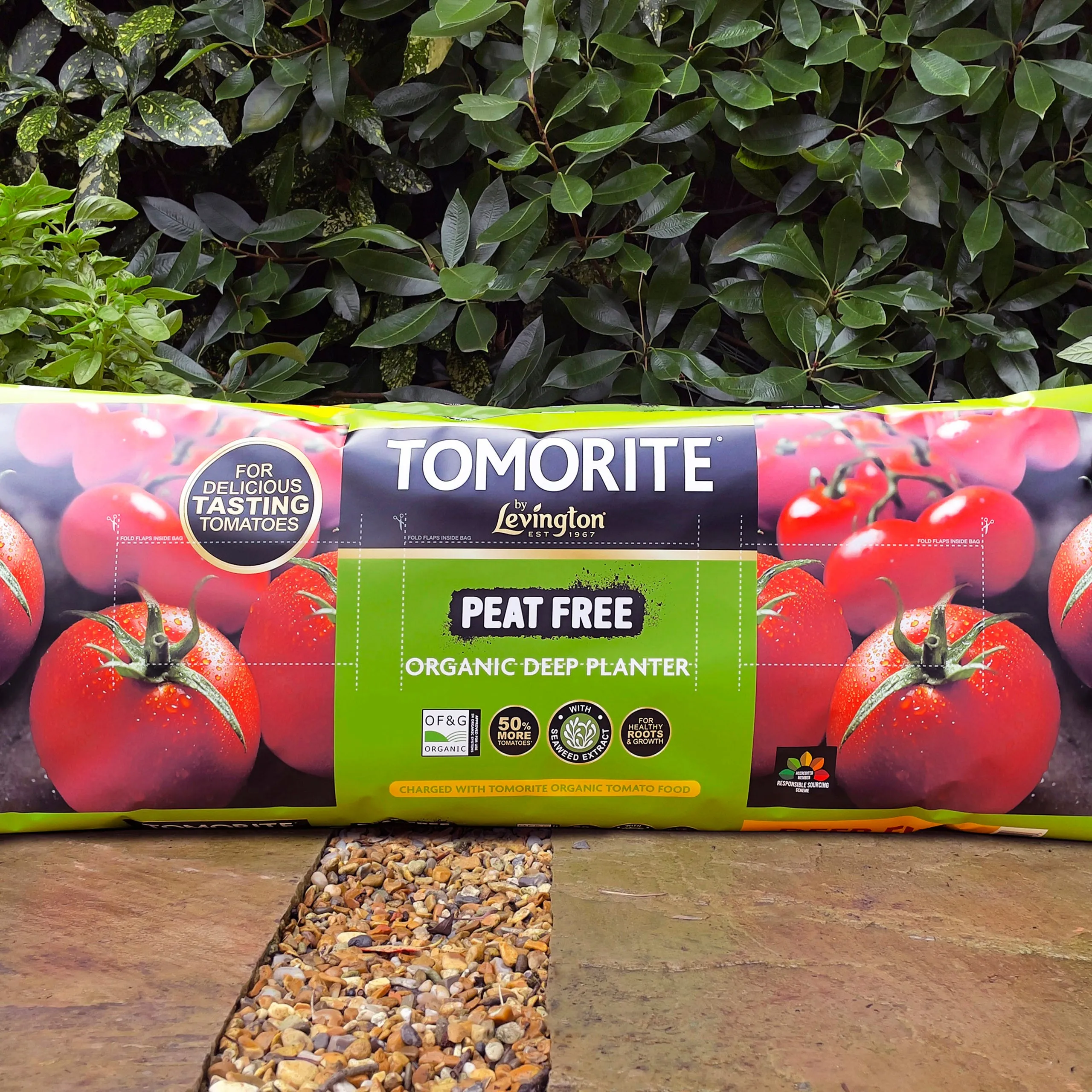 Levington Tomorite Peat Free Organic Deep Planter 42 Litres (3 plant size)