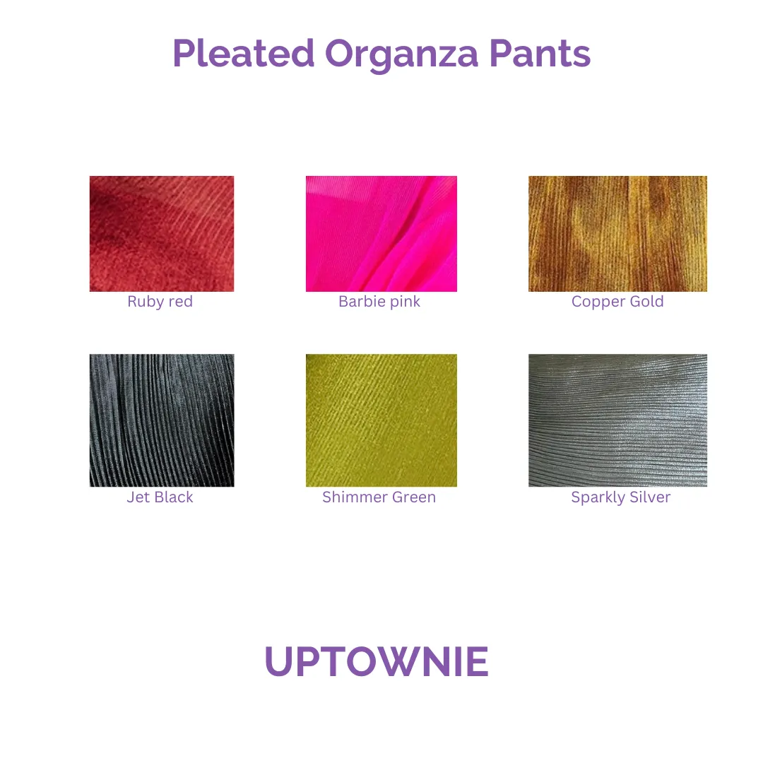 Pleated Organza Pants